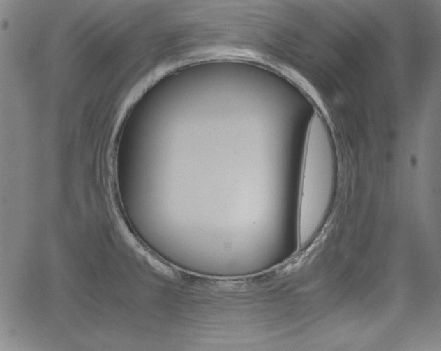 X0000062621381200512210901