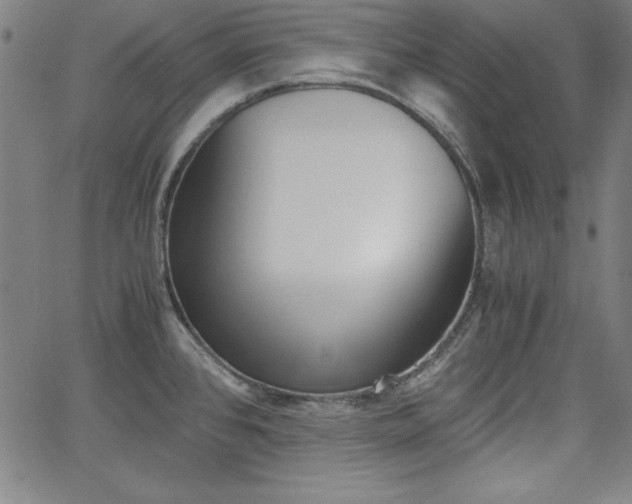 X0000062621384200512210901