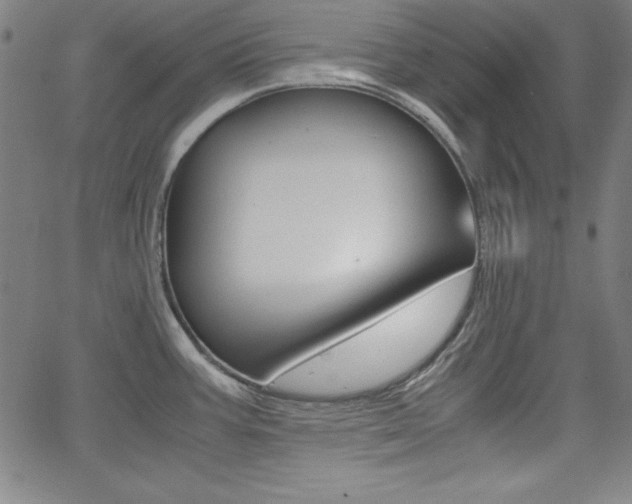X0000062621387200512210901