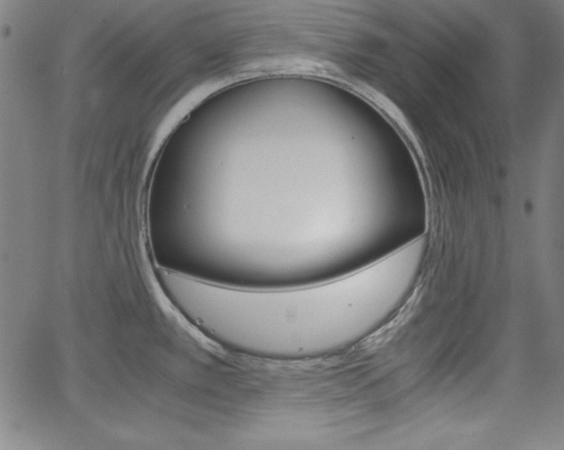 X0000062621389200512210901