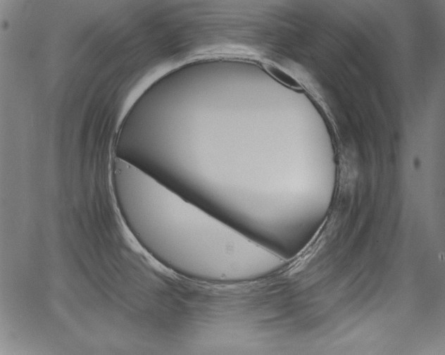 X0000062621390200512210901