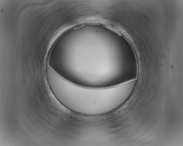X0000062621392200512210901
