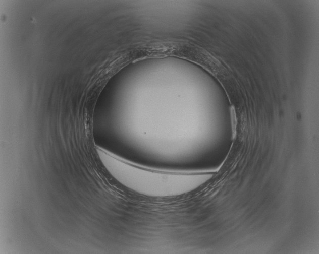 X0000062621394200512210900