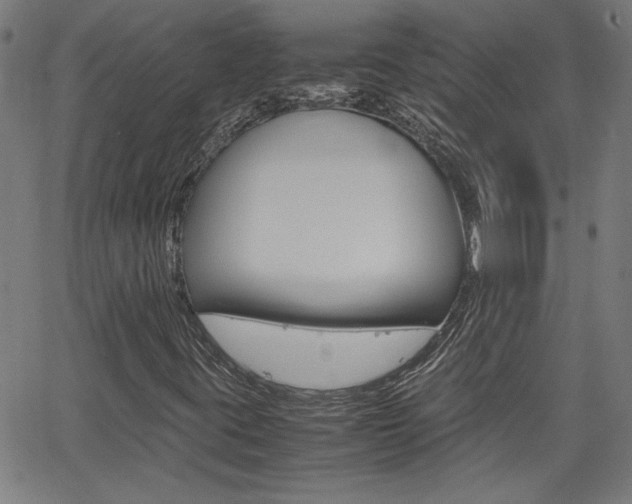 X0000062621395200512210900