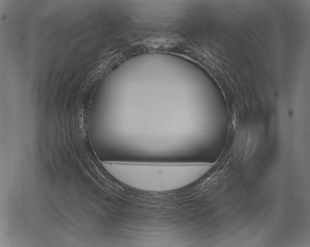 X0000062621396200512210900