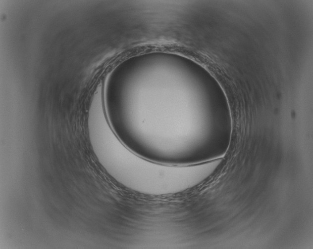 X0000062621398200512210900