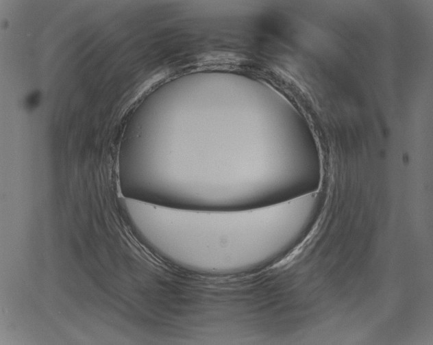 X0000062621401200512210900