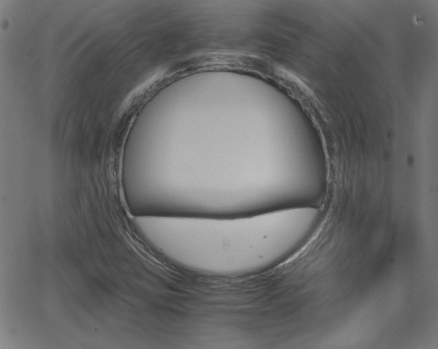 X0000062621403200512210900