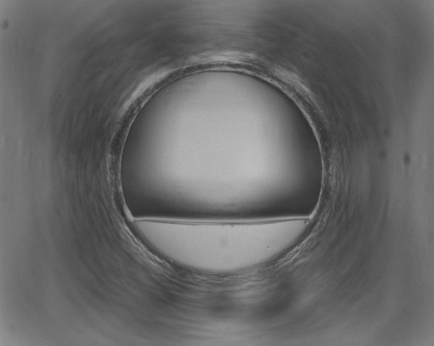 X0000062621404200512210900