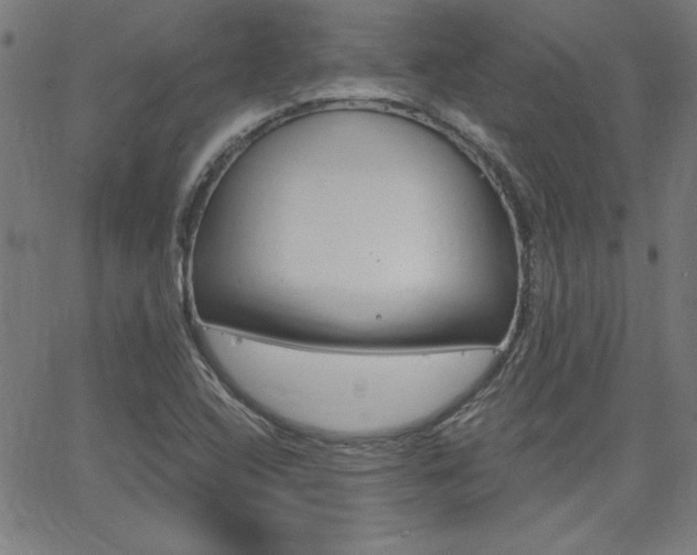 X0000062621408200512210900