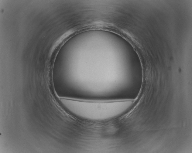 X0000062621410200512210900