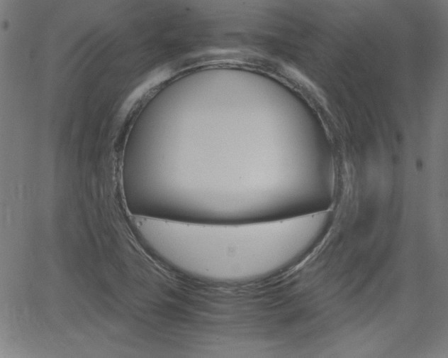 X0000062621411200512210900
