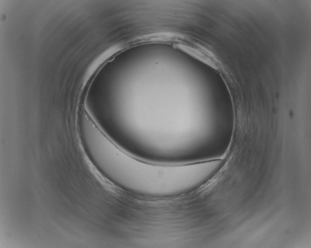 X0000062621426200512210900