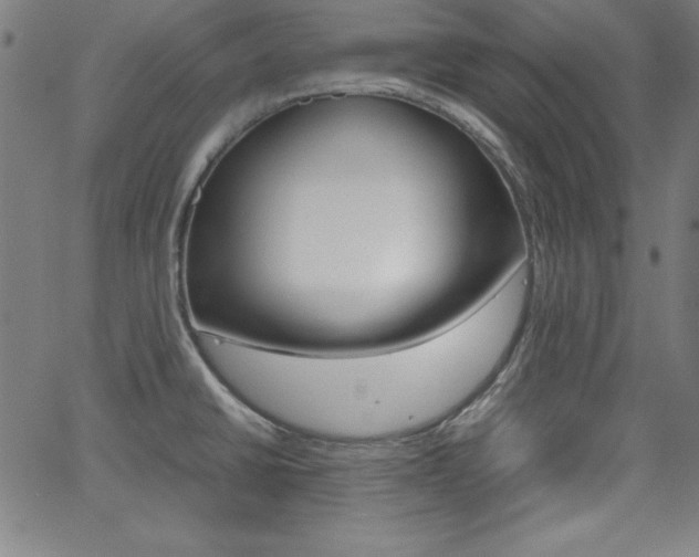 X0000062621430200512210900