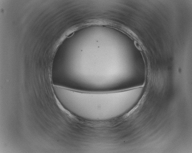 X0000062621433200512210901