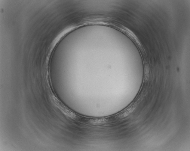 X0000062621435200512210901