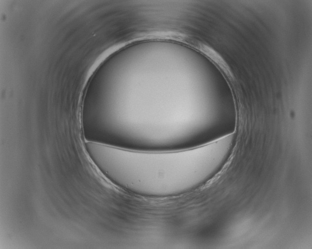 X0000062621436200512210901