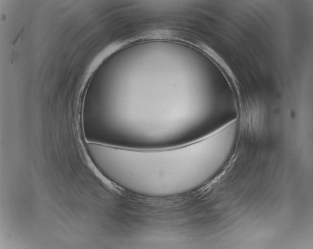 X0000062621437200512210901