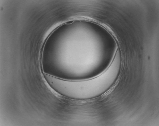 X0000062621438200512210901