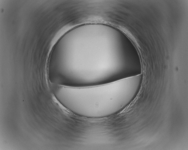 X0000062621440200512210901