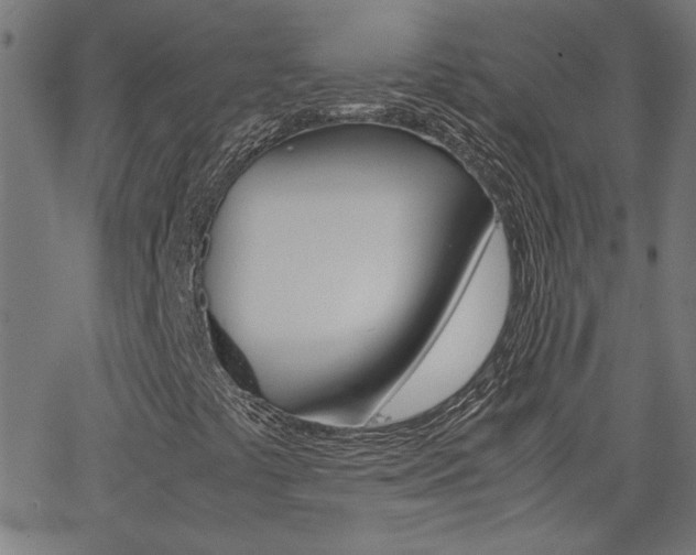 X0000062621441200512210900