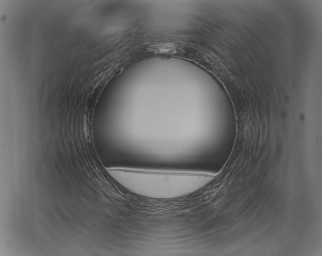 X0000062621442200512210900