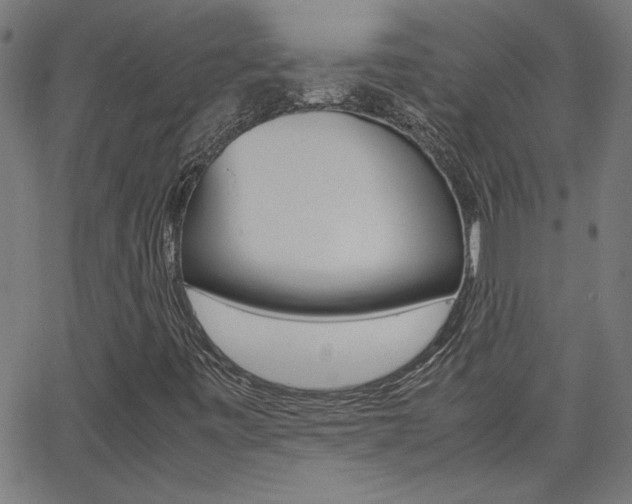 X0000062621443200512210900