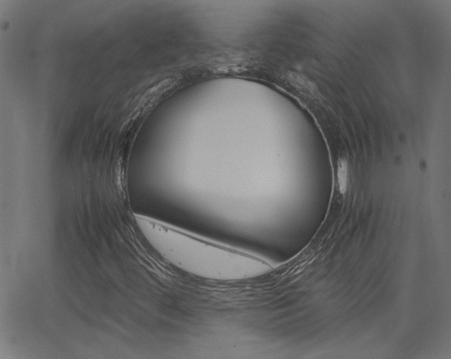 X0000062621444200512210900