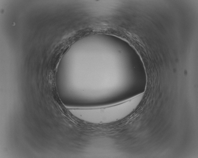 X0000062621445200512210900
