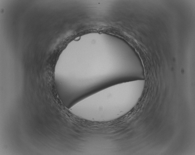 X0000062621447200512210900