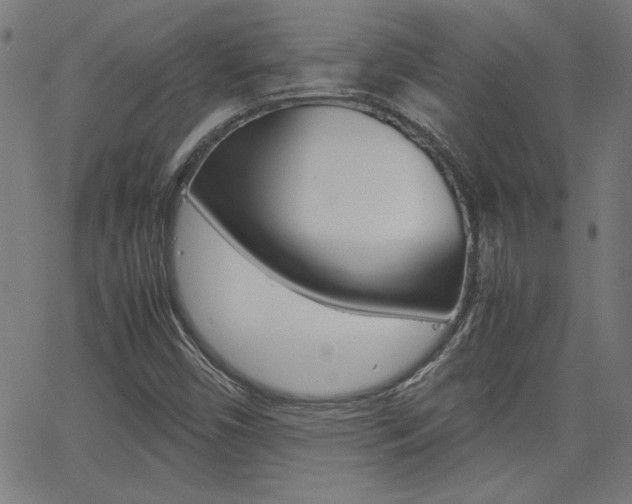X0000062621450200512210900