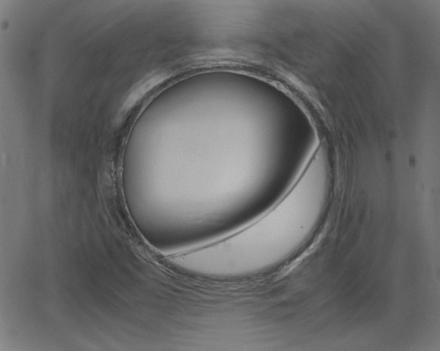 X0000062621453200512210900