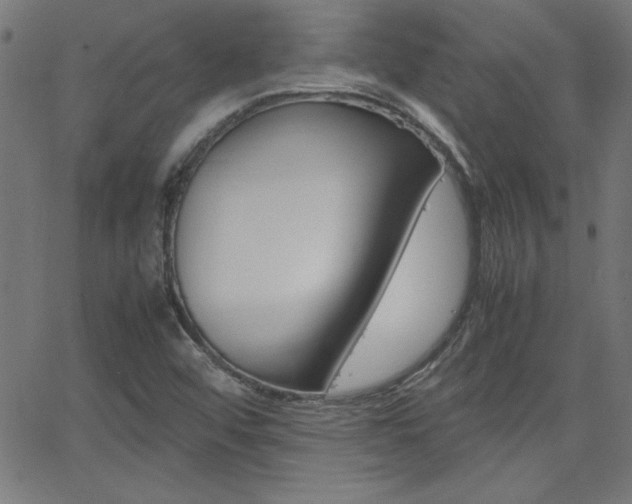 X0000062621456200512210900
