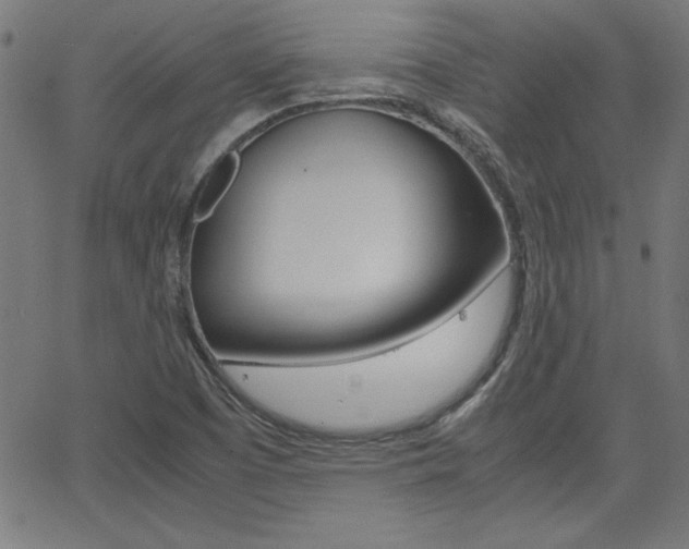 X0000062621457200512210900