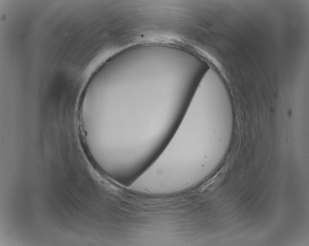 X0000062621471200512210859