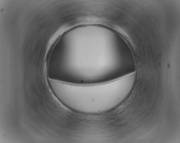 X0000062621472200512210859