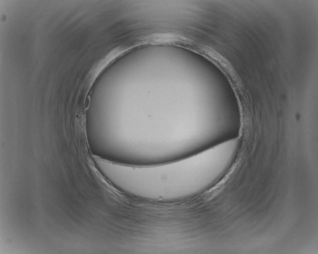 X0000062621473200512210859