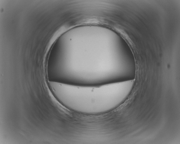 X0000062621475200512210859