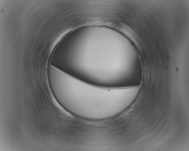 X0000062621476200512210859