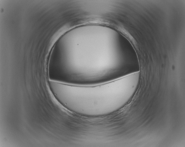 X0000062621483200512210859