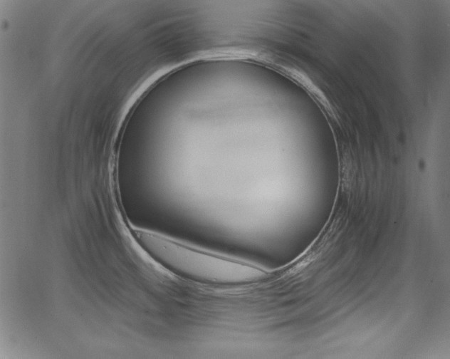 X0000062621484200512210859