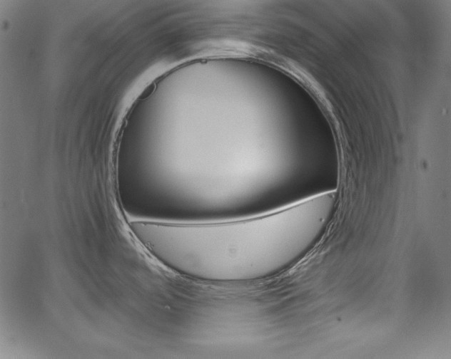 X0000062621488200512210859