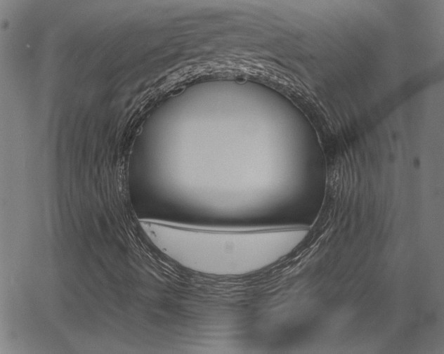 X0000062621490200512210858
