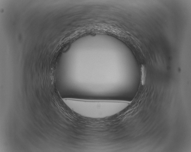 X0000062621491200512210858