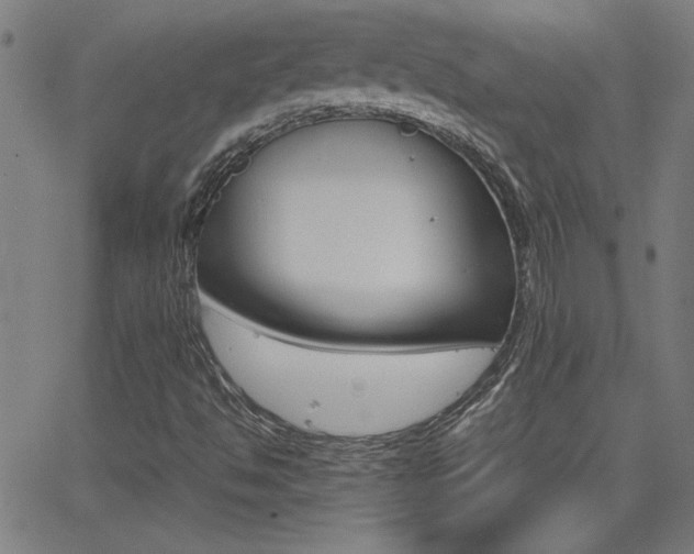 X0000062621494200512210858