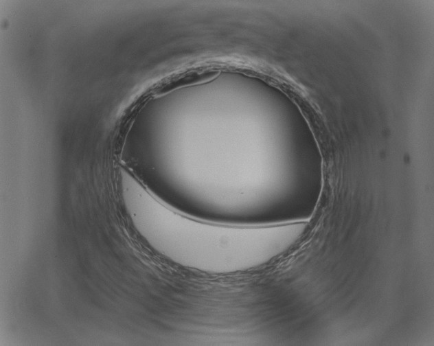 X0000062621496200512210858