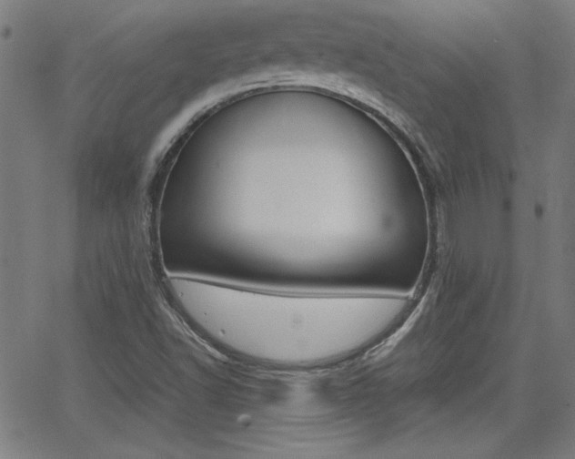 X0000062621502200512210858