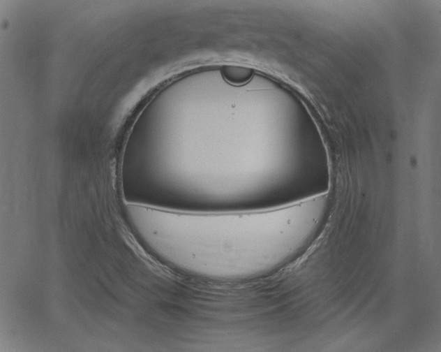 X0000062621503200512210858