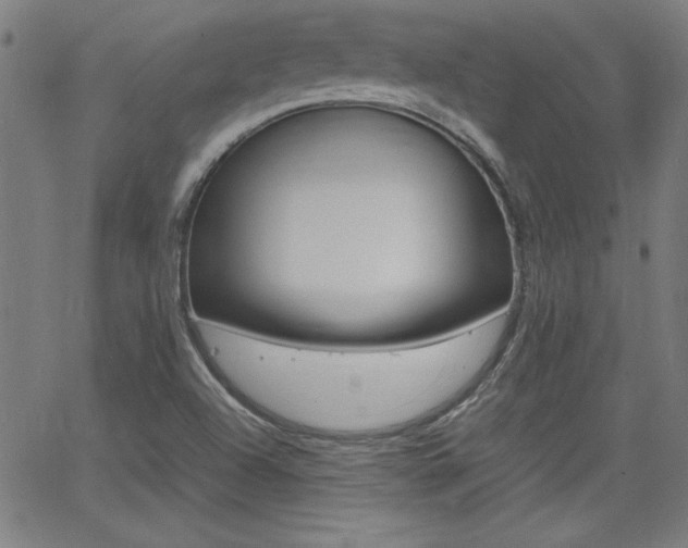 X0000062621504200512210858