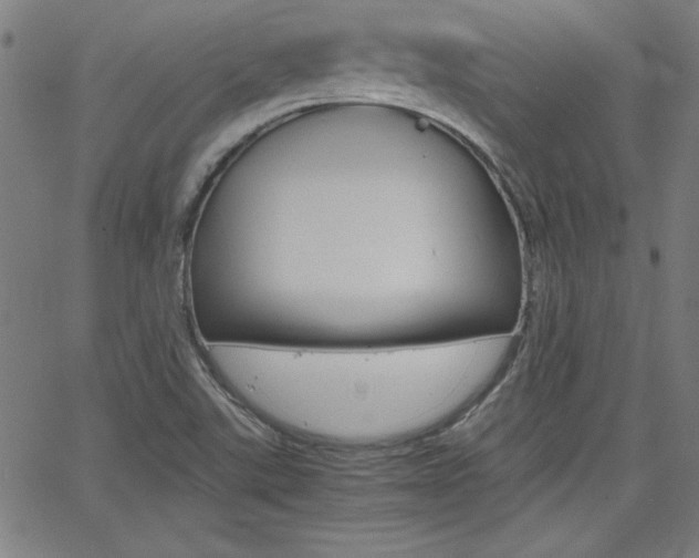 X0000062621507200512210859